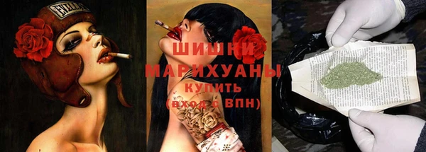 индика Армянск