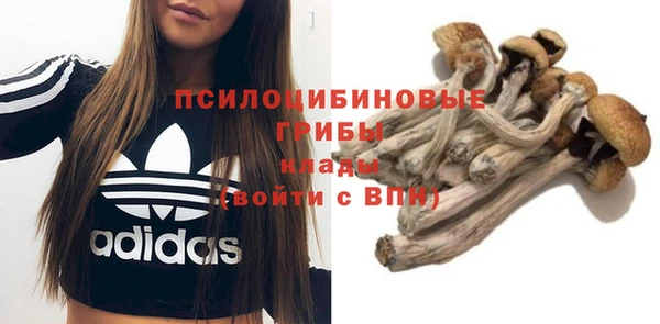 эйфоретик Аркадак