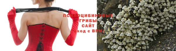 экстази Сосновка