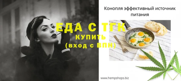 индика Армянск