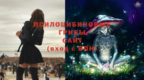 индика Армянск
