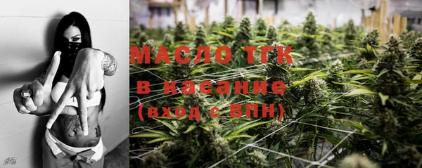 индика Армянск