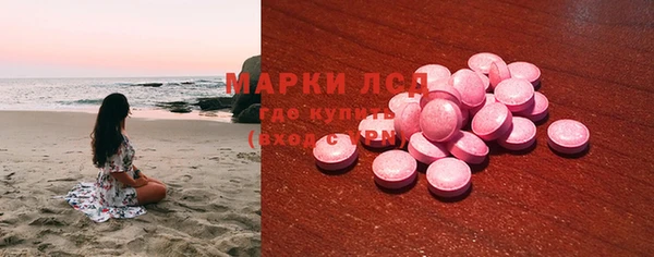 индика Армянск