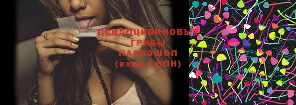 apvp Сосновый Бор