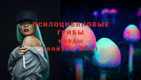 индика Армянск