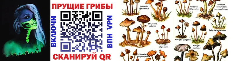 блэк спрут ССЫЛКА  Динская  Галлюциногенные грибы мухоморы 
